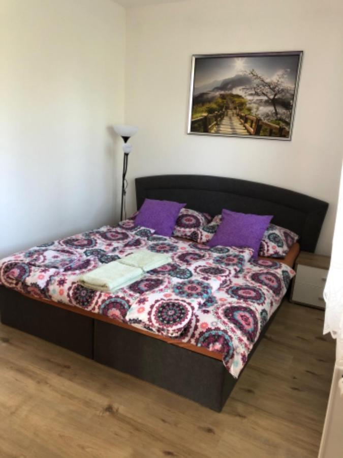 Apartmány Eva Frymburk Exteriér fotografie